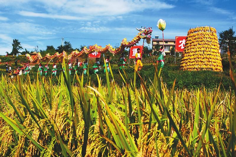 广元市剑阁县汉阳镇金星村，通过川北农耕文化活动，展示广大农民的劳动成果.jpg