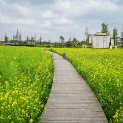 我省两家主体成功入选全国第四批家庭农场典型案例