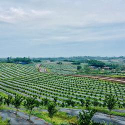 四川首个家庭农场合作社成立