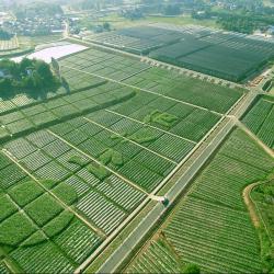 四川2022年度乡村振兴考评结果出炉