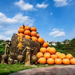 2023年全省农业农村重点工作部署视频会议在成都召开