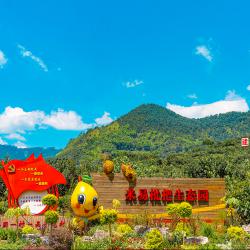 加快农业农村现代化步伐  加快建设农业强省