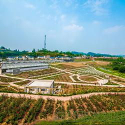 农业农村部等七部门部署2023年全国农资打假专项治理行动