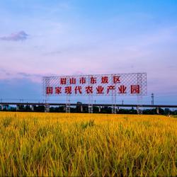 《求是》杂志发表习近平总书记重要文章 加快建设农业强国 推进农业农村现代化