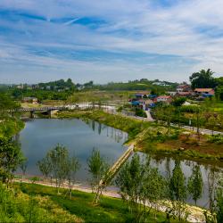 我省召开农民合作社信息系统数据更新和省级示范社评定工作视频培训会议