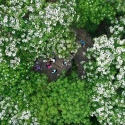 经济日报社来川调研采访农业农村工作