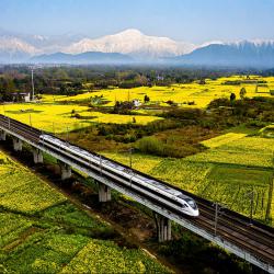 全省耕地恢复补充暨土地违法问题整改工作会议召开