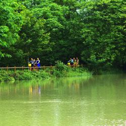 加快实现农业强农村美农民富  努力开创农业农村现代化发展新局面