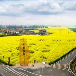 农业农村部召开学习贯彻习近平新时代中国 特色社会主义思想主题教育动员部署大会