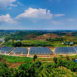 农业农村部召开推进新型农业经营主体高质量发展座谈会