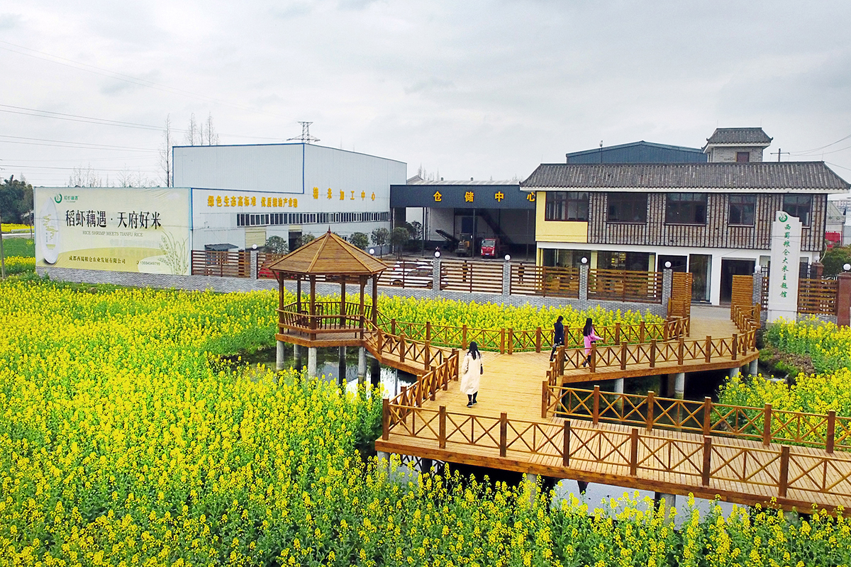 1686558129267657.jpg 1686558129267657.jpg