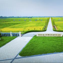 发展社会化服务  建好“天府粮仓”