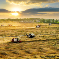 农业农村厅在乐山市沐川县举办 39个欠发达县域现代农业园区提质增效主体提升培训班